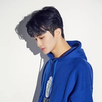 jung mark