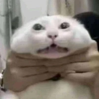 เเอด