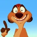 timon