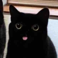 ยูจิ (ร่างแมว)