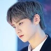 นิโอ-บีโรเบีย(พ่อพระเอก)