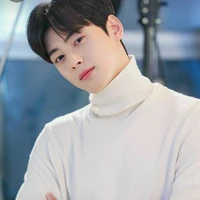 Mr Cha Eun woo