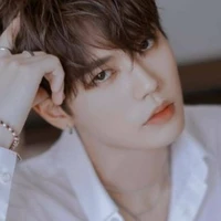 Lin yanjun