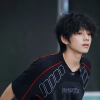 Wang lujie