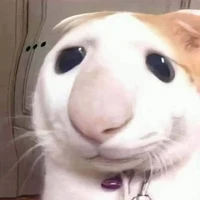 Me