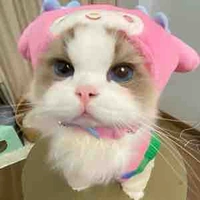 กีต้าร์