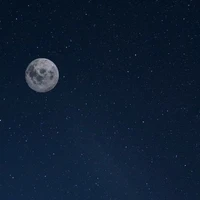 all