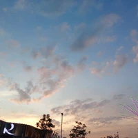 ต.ป.ก😴