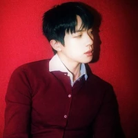 Seok-jin (O.D)