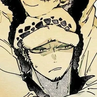 trafalgar law
