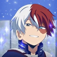 Todoroki 