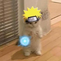 meow meow