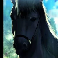 Max ( cavalo de maisa