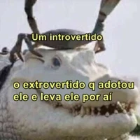 Tio Aki