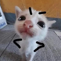 autora