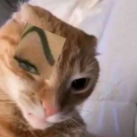 alarm