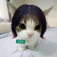 แมวเป้า