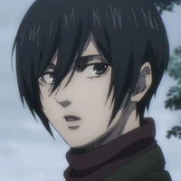 Mikasa