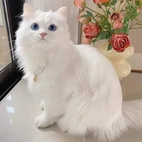 Seren / เซรีน