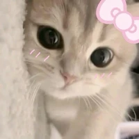 แอดเอง