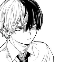 🥀shoto todoroki🥀