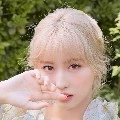 Choi Momo