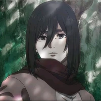 MIKASA