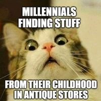 meme cat