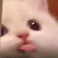 เเอดๆๆๆๆๆ