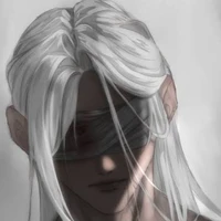 Mr silver