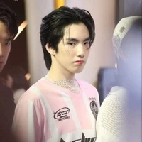 พะพาย(พาย)