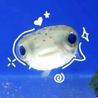 Little Puffy