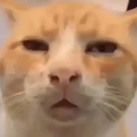 แอดเอง