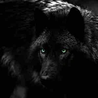 Loup Chung-ae