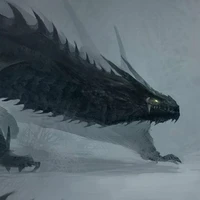 Dragão