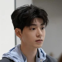 Aryan novan