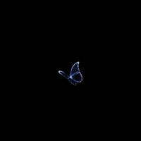 Someone