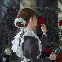 Miya
