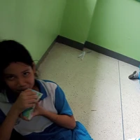 ต้นหอม