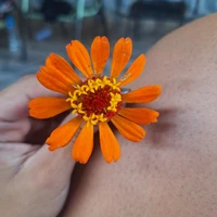 Autora