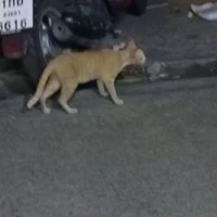 เเอดเองงง
