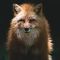 Public