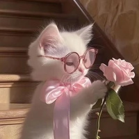 ✨ Pinkitten ✨