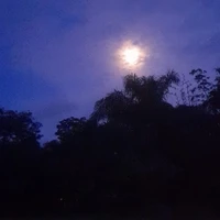 ตัวประกอบชาย
