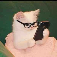 🖤✨🔞ⓈⒽⓊⓍⒾ🔞✨🖤