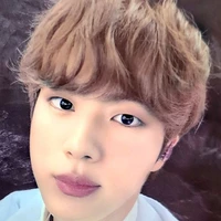 Kim Seokjin*Omega*