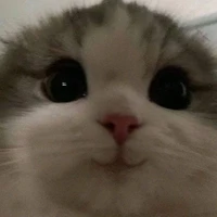 แอดเอง~