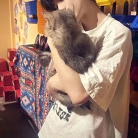 โกโก้|cocoa