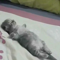 สุมีเกร็ดความรู้ของตัวละคร