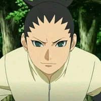 Nara Shikadai